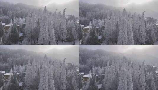 雪景自然风光高清在线视频素材下载