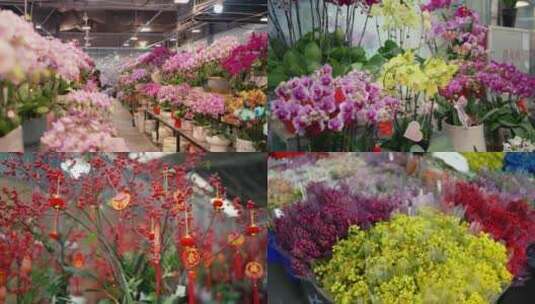 花卉市场高清在线视频素材下载