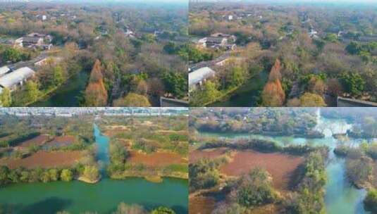 杭州西溪湿地美景风景视频素材高清在线视频素材下载