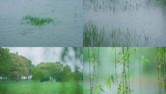 池塘 下雨 雨季 大自然高清在线视频素材下载