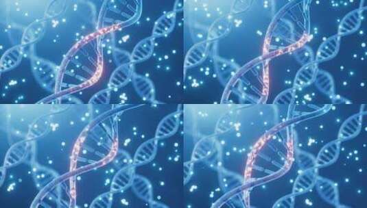 DNA基因生物链高清在线视频素材下载