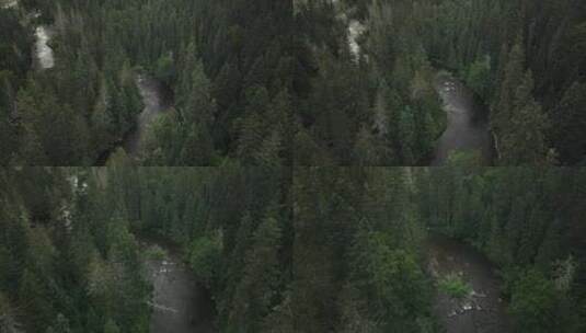 新不伦瑞克，加拿大，湖，溪流高清在线视频素材下载