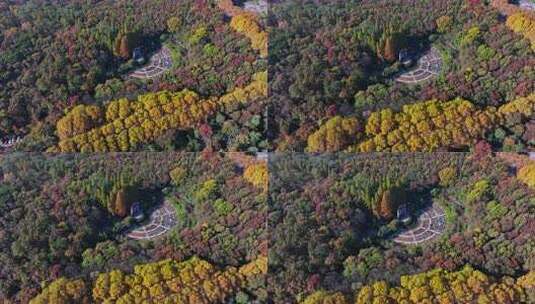 江苏南京中山陵灵山风景区音乐台秋色航拍高清在线视频素材下载