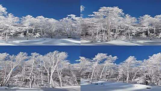 竖屏航拍林海雪原雪森林250102高清在线视频素材下载