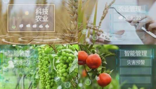 精品 · 智能科技农业视频AE模板高清AE视频素材下载