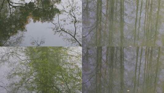 初春湖面树影倒影空镜合集高清在线视频素材下载