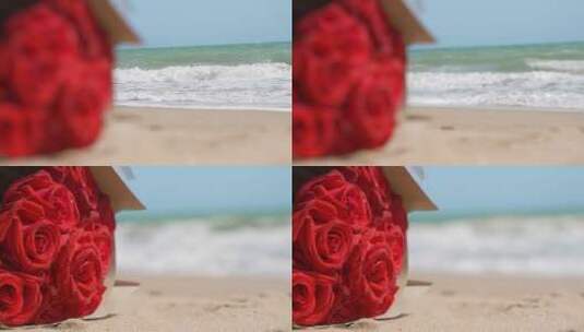 海边沙滩的玫瑰花高清在线视频素材下载