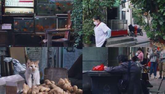广州老城区人们悠闲生活和猫4k视频素材高清在线视频素材下载
