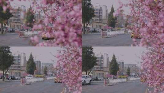 北京怀柔城市春季升格视频高清在线视频素材下载