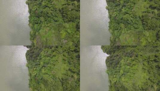 俯瞰森林和河流高清在线视频素材下载