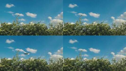 升格拍摄蓝天白云下飞机从天空飞过高清在线视频素材下载