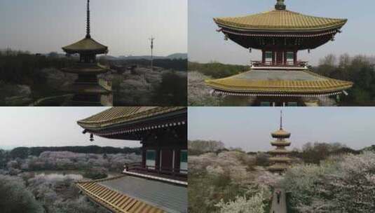 武汉东湖航拍绿道宝塔中近景运镜高清在线视频素材下载