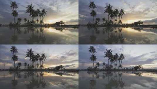 延时日落椰子树和壮丽的日落高清在线视频素材下载