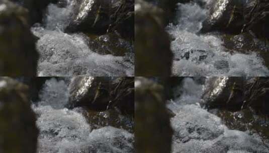 泉水溪流高清在线视频素材下载