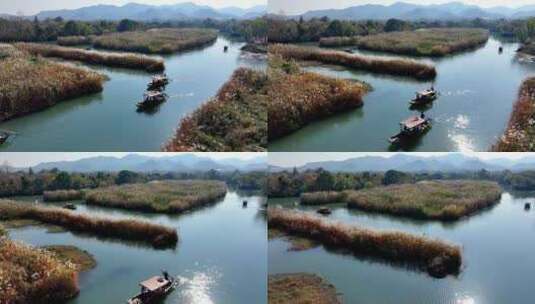 中国杭州西溪湿地秋日美景高清在线视频素材下载