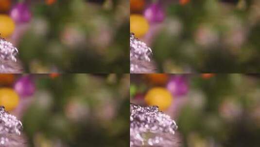 美食锡纸海鲜蛏子花蛤 (3)高清在线视频素材下载