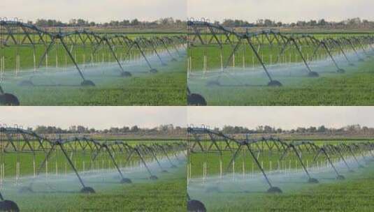 洒水系统浇灌加州农田高清在线视频素材下载
