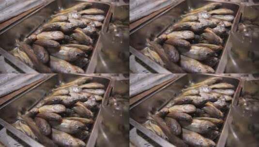 超市水产市场买鱼高清在线视频素材下载
