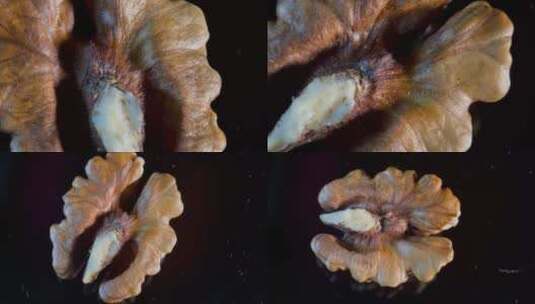 【镜头合集】微距核桃仁干果高清在线视频素材下载