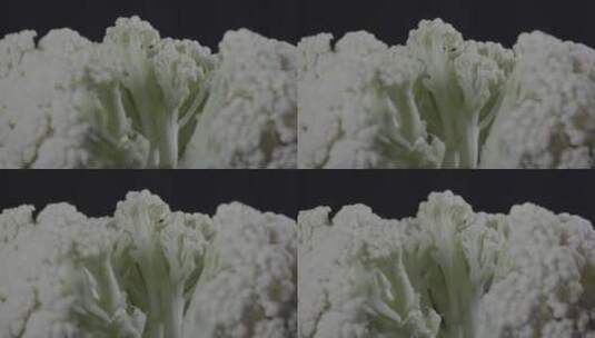 影棚拍摄花菜LOG高清在线视频素材下载