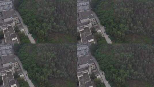 航拍深圳城市生态绿化高清在线视频素材下载