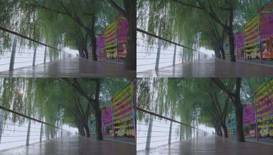 北京雁栖湖景区林荫道升格视频高清在线视频素材下载