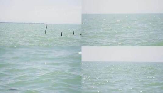 云南滇池池水白鹭空镜2高清在线视频素材下载