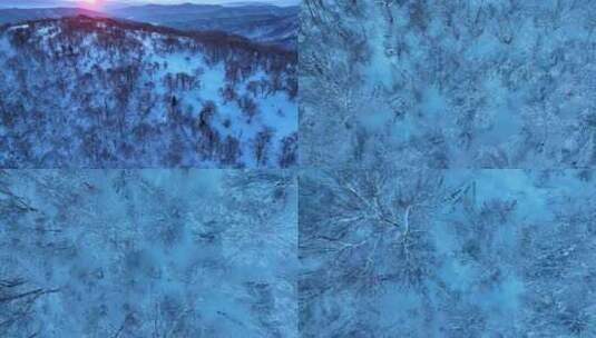 东北冬天吉林长白山雪景雾凇高清在线视频素材下载