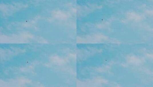 气球飘在空中 飞上上蓝天高清在线视频素材下载