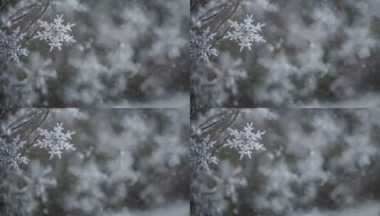 雪花特写雪景下雪天大雪纷飞白雪皑皑雪风景高清在线视频素材下载