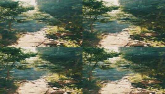 一条流经郁郁葱葱的绿色森林的河流高清在线视频素材下载
