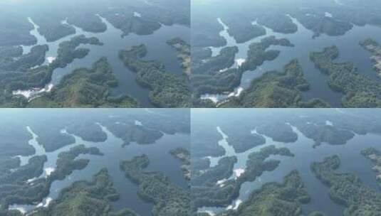 惠州市惠城红花湖景区航拍森林山川湖泊风景高清在线视频素材下载