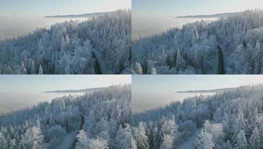 穿过冬日森林的公路高清在线视频素材下载