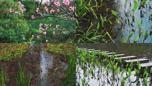 下雨水滴春分惊蛰雨水谷雨雨天高清在线视频素材下载