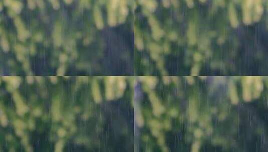 下雨雨天细雨雨景高清在线视频素材下载