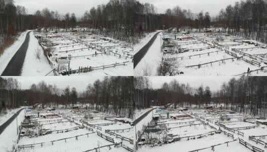 被雪覆盖的社区农业区，瑞典，天线高清在线视频素材下载