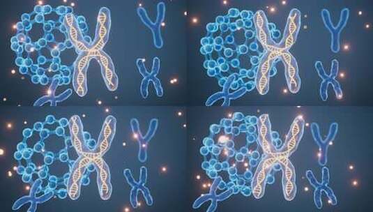 人类染色体和分子生物模型高清在线视频素材下载