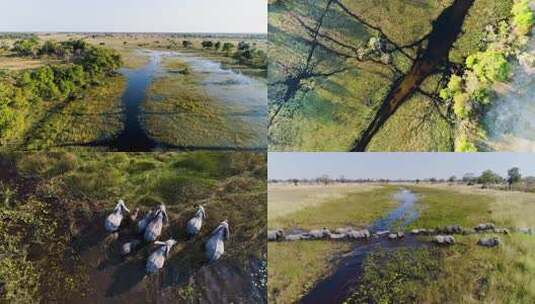 空中俯瞰植被茂盛的湿地景观高清在线视频素材下载