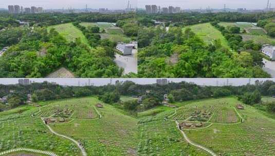 4K航拍深圳龙华版画基地5高清在线视频素材下载