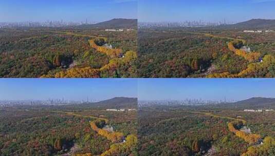 江苏南京中山陵灵山风景区音乐台秋色航拍高清在线视频素材下载