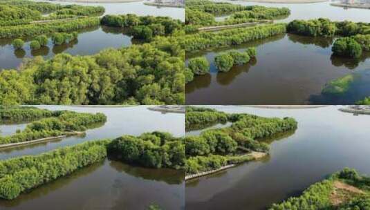 航拍森林和河流的景观高清在线视频素材下载