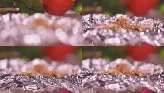 美食锡纸海鲜蛏子花蛤 (4)高清在线视频素材下载