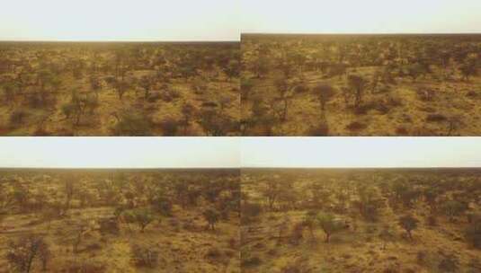 吉普车在非洲平原上行驶高清在线视频素材下载