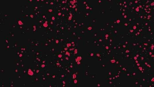 4K红色花瓣粒子飘扬通道视频-循环2高清在线视频素材下载
