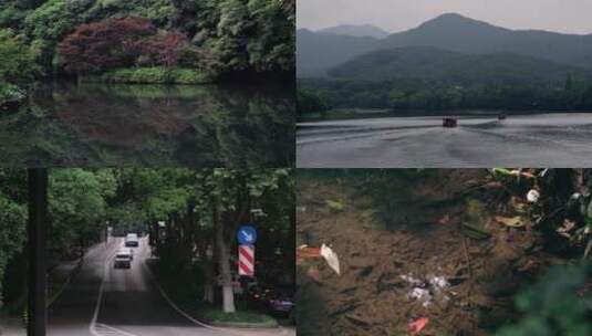 树林森林湖水溪流自然风景夏天西湖九溪烟树高清在线视频素材下载