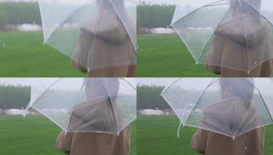 济南黄河大坝网红小草原，阴雨天气拍照高清在线视频素材下载