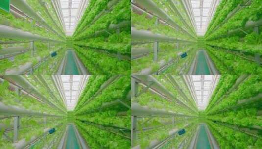 温室大棚现代化农业高清在线视频素材下载