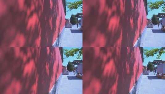 辽宁沈阳故宫中式古建筑红墙阳光树影斑驳高清在线视频素材下载