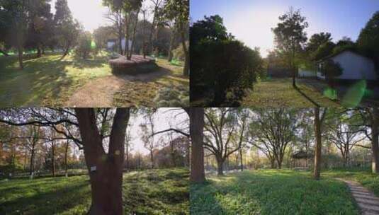 杭州西湖植物园花草建筑树林4K实拍视频高清在线视频素材下载