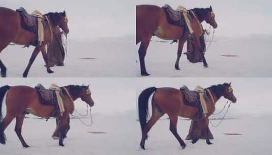 穆斯林男人牵着马在沙漠中行走高清在线视频素材下载